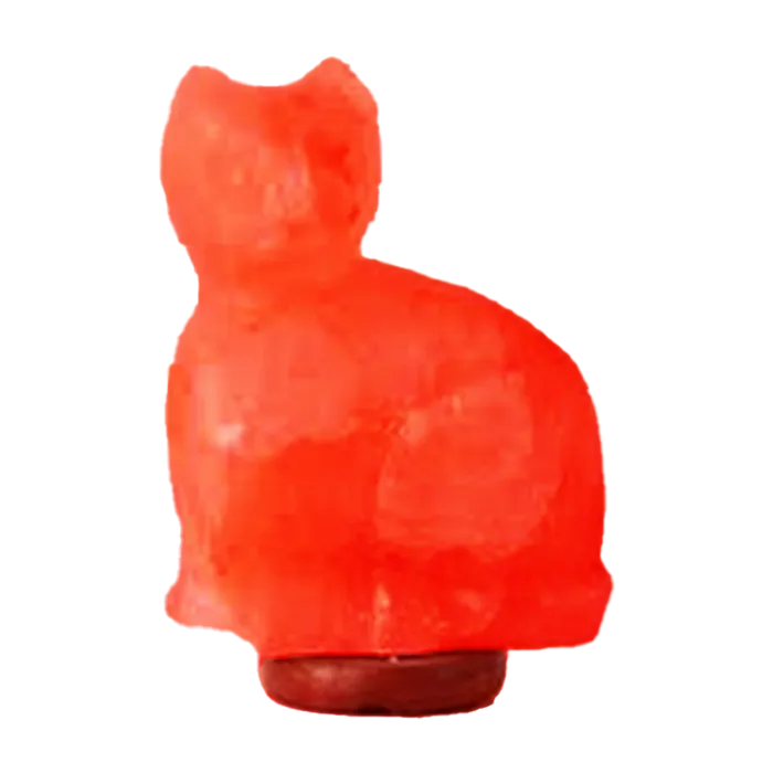 Image hover effect image